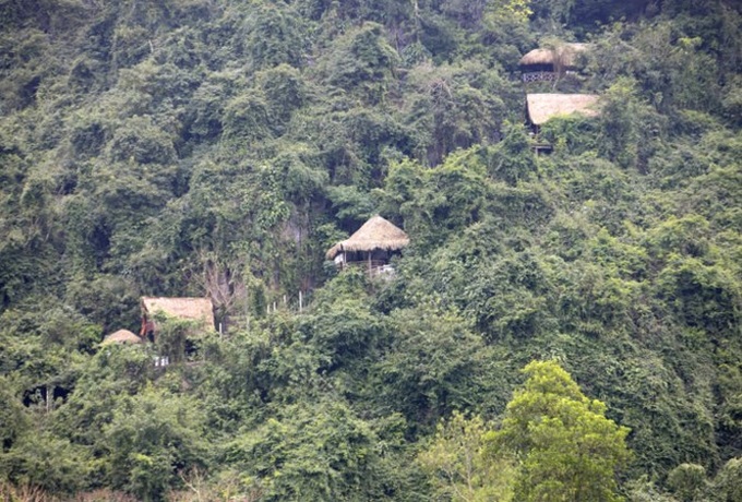 Expert opposes Phong Nha-Ke Bang cable car project - 1 Expert opposes Phong Nha-Ke Bang cable car project - 1