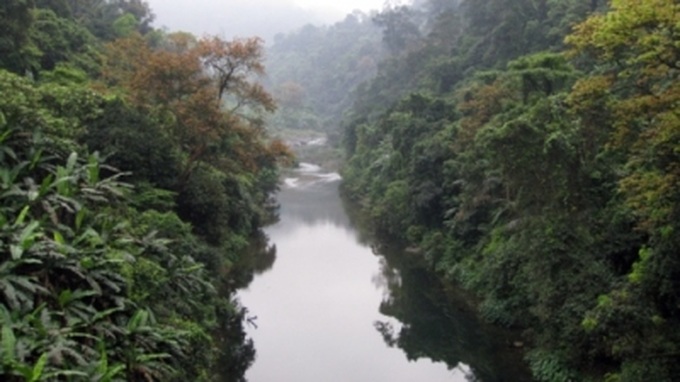 Quang Binh receives US$1.5 million for biodiversity conservation - 1