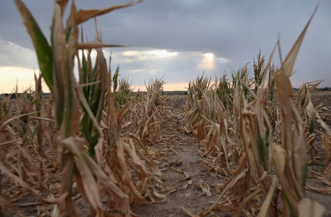 2013 sixth-hottest year, confirms long-term warming: UN - 1 2013 sixth-hottest year, confirms long-term warming: UN - 1