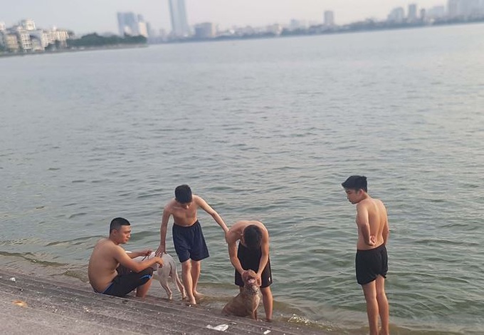 Swimming continues in West Lake despite mass fish deaths - 5
