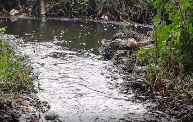Huge landfill pollutes Sam Son Beach - 3 Huge landfill pollutes Sam Son Beach - 3