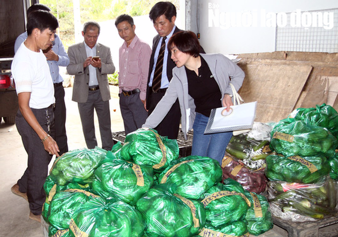 40 tonnes of Da Lat vegetables sent to Truong Sa as Tet gifts - 1