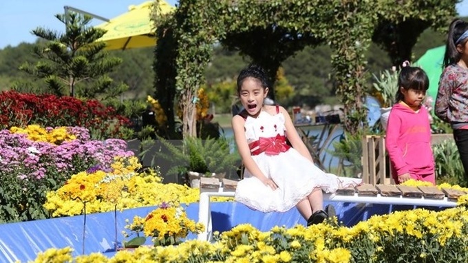 Da Lat flower festival kicks off with myriad of activities - 1