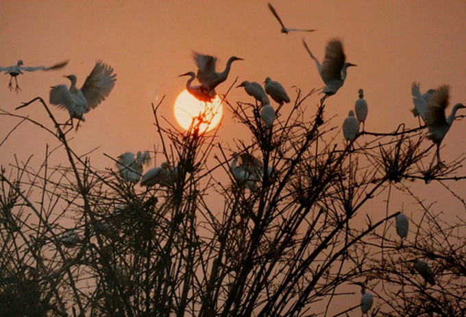 A glimpse of Vietnam through photo exhibition - 12 A glimpse of Vietnam through photo exhibition - 12