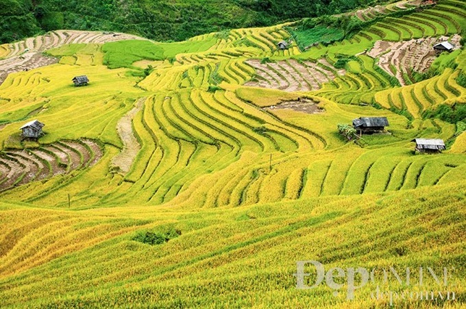 Cultural week of Mu Cang Chai terraced field opens - 1