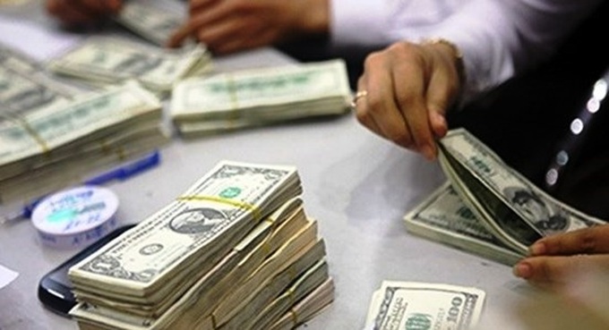 Vietnam pours USD20 billion abroad - 1