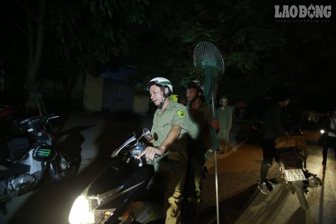 Hanoi starts catching stray dogs to fight rabies - 1