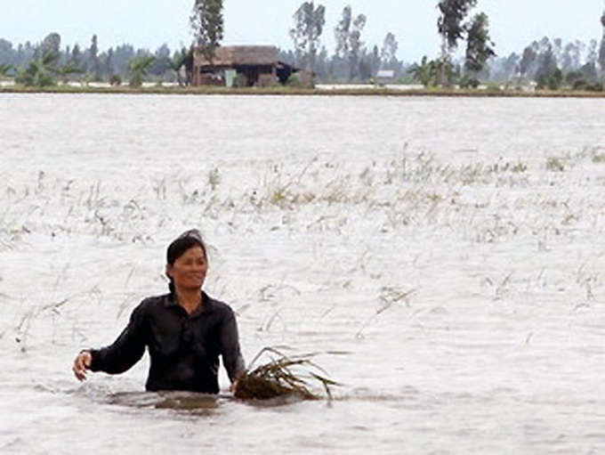 Natural disasters cost 1.48 pct of national GDP - 1 Natural disasters cost 1.48 pct of national GDP - 1