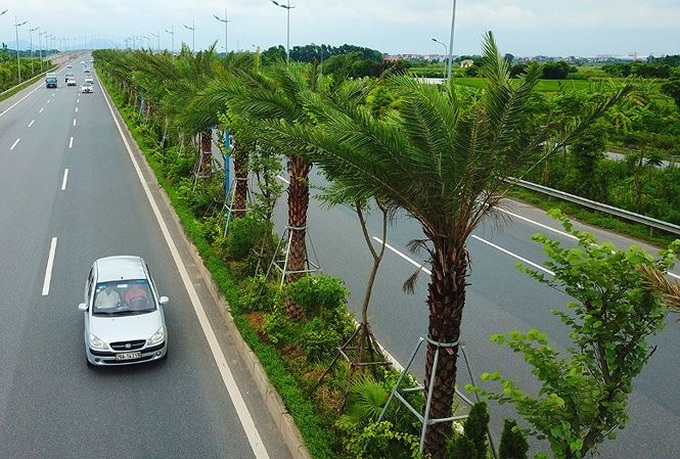 Hanoi spends USD11m on million tree project - 1 Hanoi spends USD11m on million tree project - 1