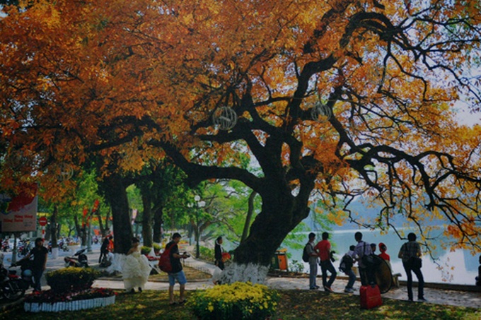 A glimpse of Vietnam through photo exhibition - 5 A glimpse of Vietnam through photo exhibition - 5