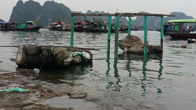 Ha Long Bay surrounded by rubbish - 5