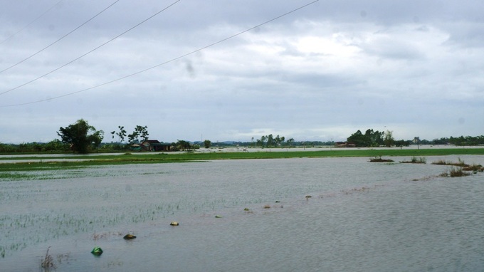 Nghe An Province seeks urgent support for post-storm cleanup - 1