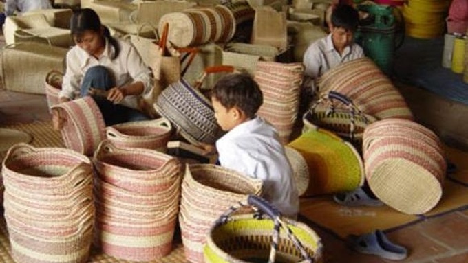 US to provide Vietnam with US$8 million to reduce child labour - 1