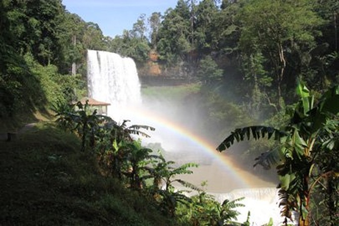 Discover the wonders of nature in Bao Loc - 1 Discover the wonders of nature in Bao Loc - 1
