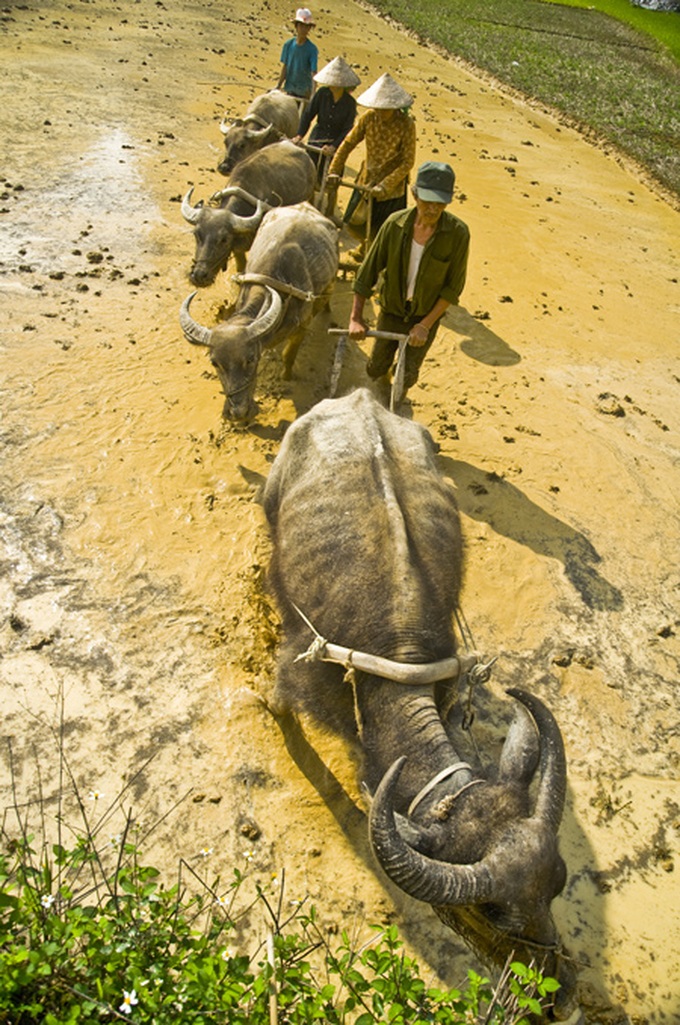 Vietnam through the lenses of young photographers - 6 Vietnam through the lenses of young photographers - 6