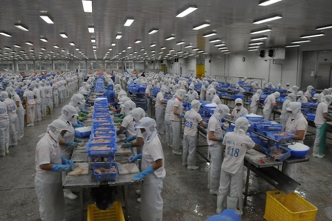 Catfish exporters warned over unreliable export partners - 1 Catfish exporters warned over unreliable export partners - 1