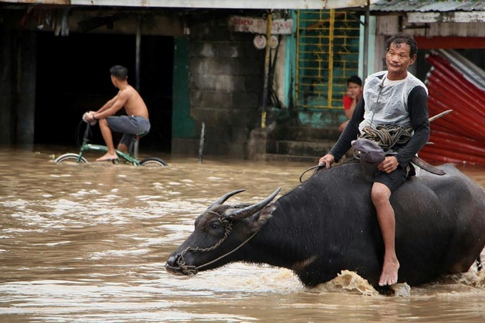 Philippine storm death toll rises to 22 - 1