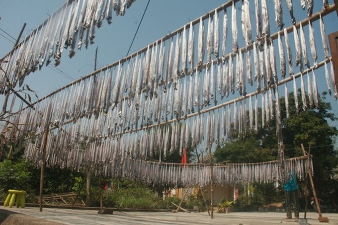 Sea gives up bumper Tet harvest for happy fishermen - 5