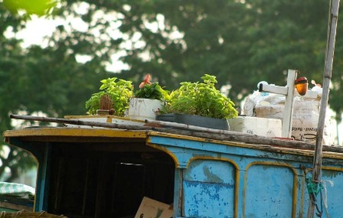 Saigon's floating market a bit less vibrant - 15