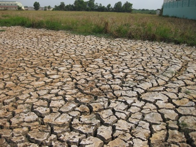 Ben Tre Province coastal areas suffer severe water shortage - 2