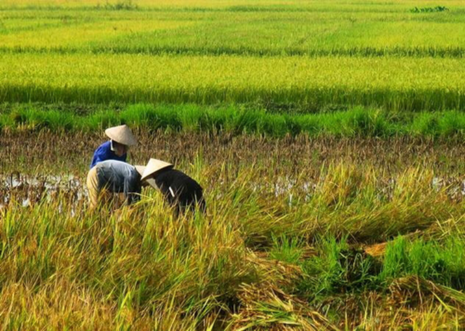 Photo exhibition on Vietnam opens in Uruguay - 4 Photo exhibition on Vietnam opens in Uruguay - 4