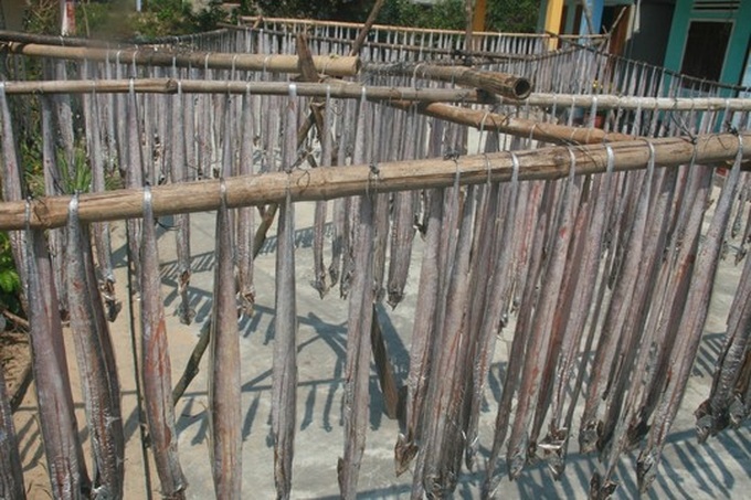 Sea gives up bumper Tet harvest for happy fishermen - 7