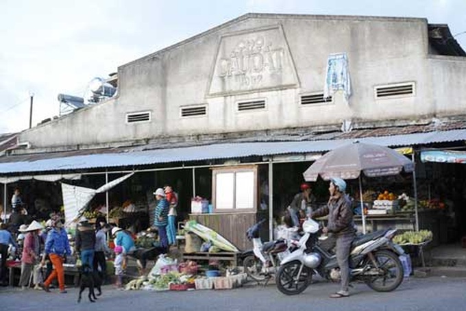 Cau Dat tea hills in Da Lat - 9 Cau Dat tea hills in Da Lat - 9