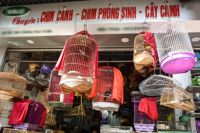 Bird selling booms for July festival - 2