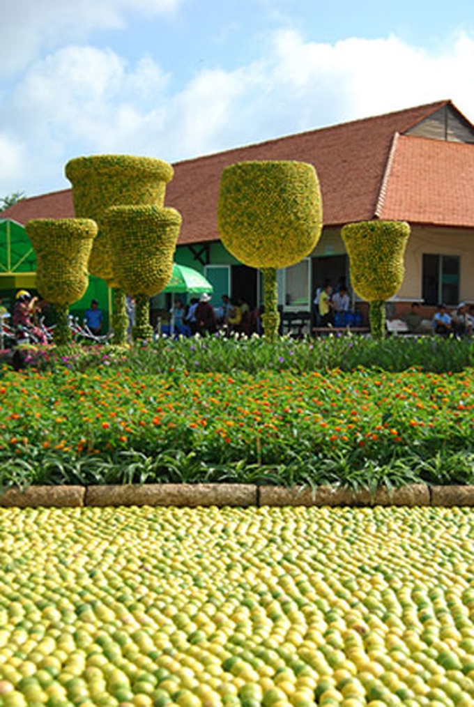Lemon-made tea-set makes Vietnam record - 2