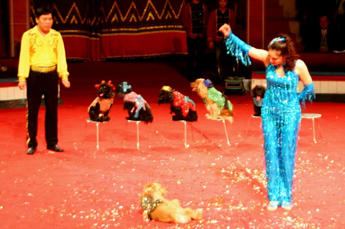 Second national jugglery festival opens in Hanoi - 1 Second national jugglery festival opens in Hanoi - 1