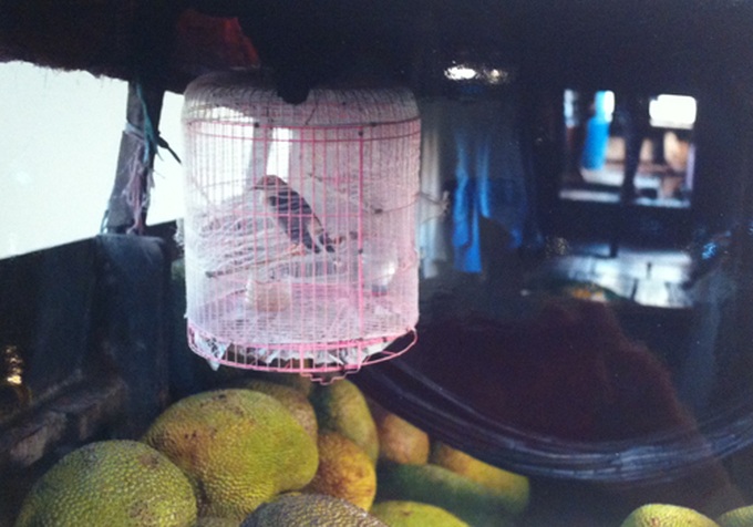 Hanoi hosts photo exhibition “I Love My City” - 7