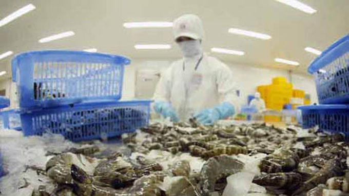 US levies anti-subsidy duties on Vietnamese shrimp - 1 US levies anti-subsidy duties on Vietnamese shrimp - 1