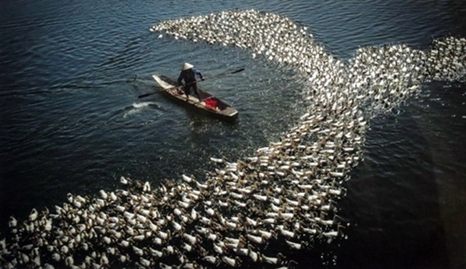 What's on May 2016 (Daily updated) - 2