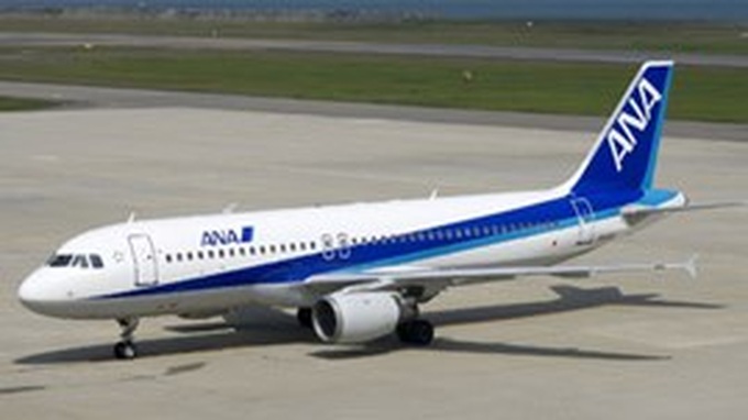 Japanese airline opens Tokyo-Hanoi route - 1