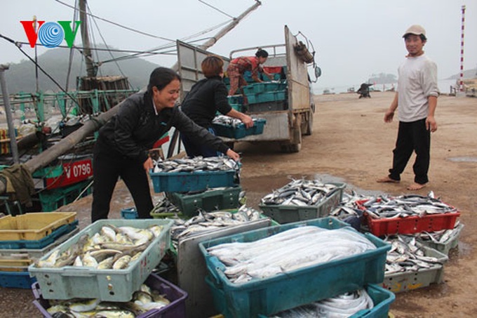A big haul for fishermen in early 2014 - 1