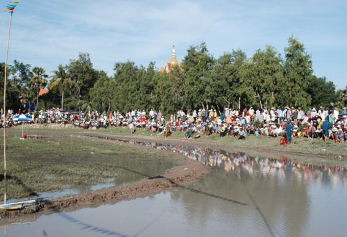 Cow race – Khmer Cultural Festival highlight - 1 Cow race – Khmer Cultural Festival highlight - 1