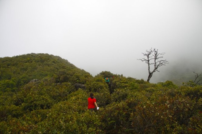 Admiring starry sky on Bach Moc Luong Tu mountain top - 10 Admiring starry sky on Bach Moc Luong Tu mountain top - 10