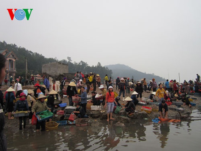 A big haul for fishermen in early 2014 - 13