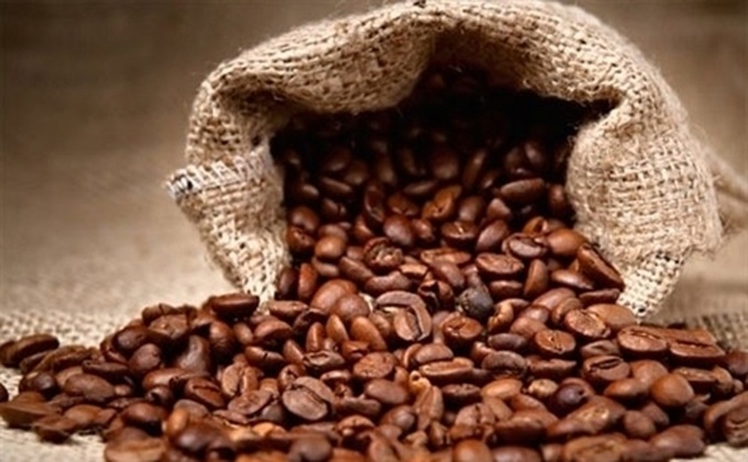 Coffee exports regain growth momentum - 1