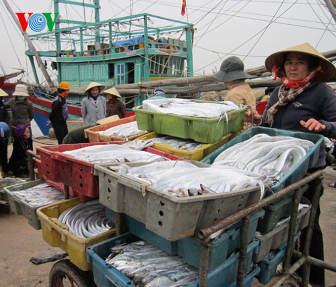 A big haul for fishermen in early 2014 - 3