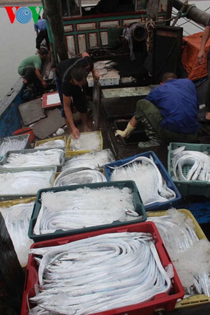 A big haul for fishermen in early 2014 - 4