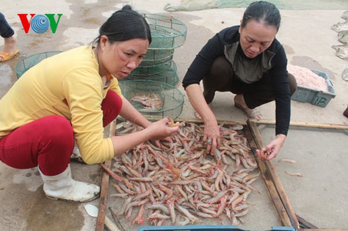 A big haul for fishermen in early 2014 - 6
