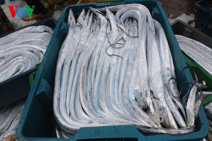 A big haul for fishermen in early 2014 - 7