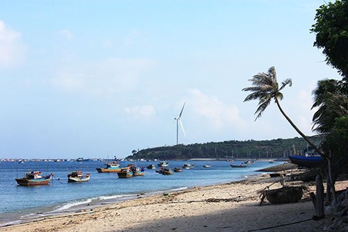 Exploring marine world on Phu Quy Island - 2