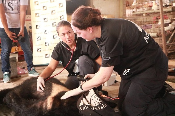 Owner donates five black bears to rescue centre - 2