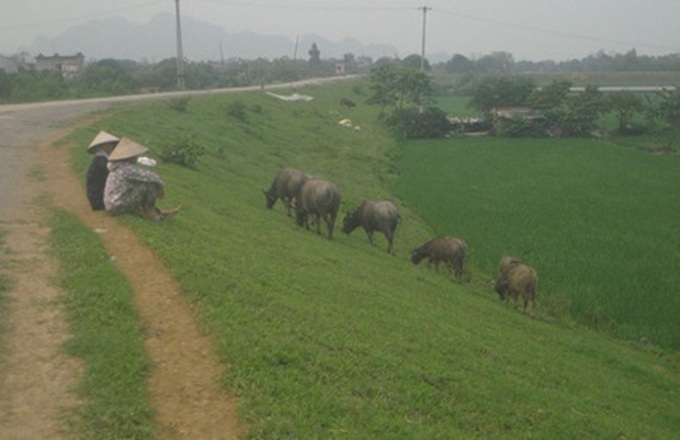 Ba Danh Pagoda still exudes peace, tranquility after years of solitude - 3 Ba Danh Pagoda still exudes peace, tranquility after years of solitude - 3