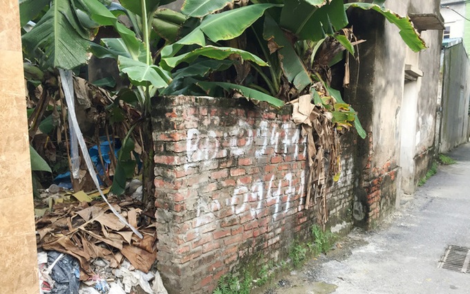 Bridges projects boost land prices in Hanoi's eastern area - 1