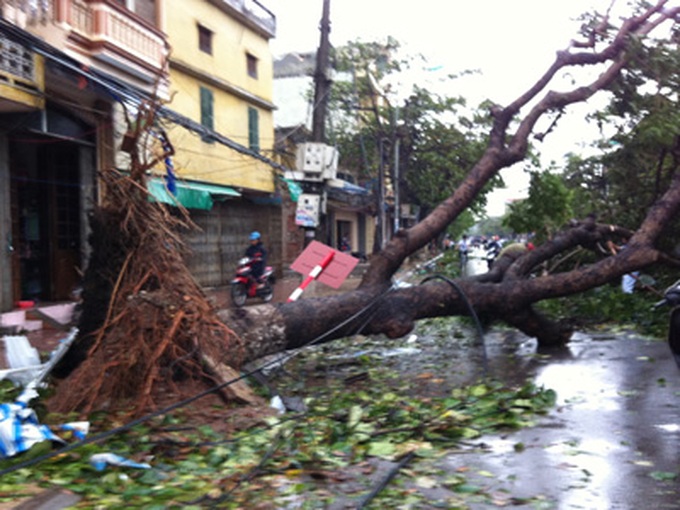 Vietnam set to experience freak summer weather - 1 Vietnam set to experience freak summer weather - 1