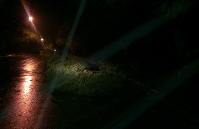 Typhoon Kalmaegi hits northern coastal areas - 1