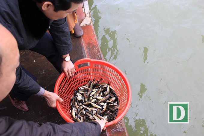 Over five tonnes of fish released to Red River - 10
